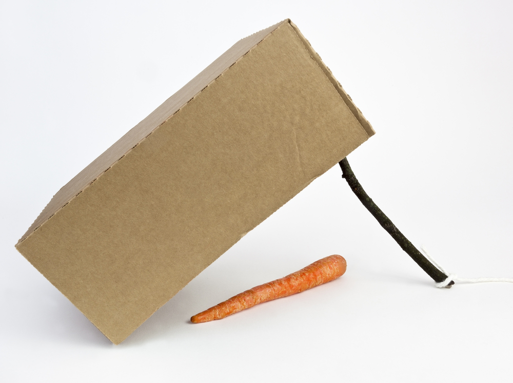 A trap with a carrot beneath a box