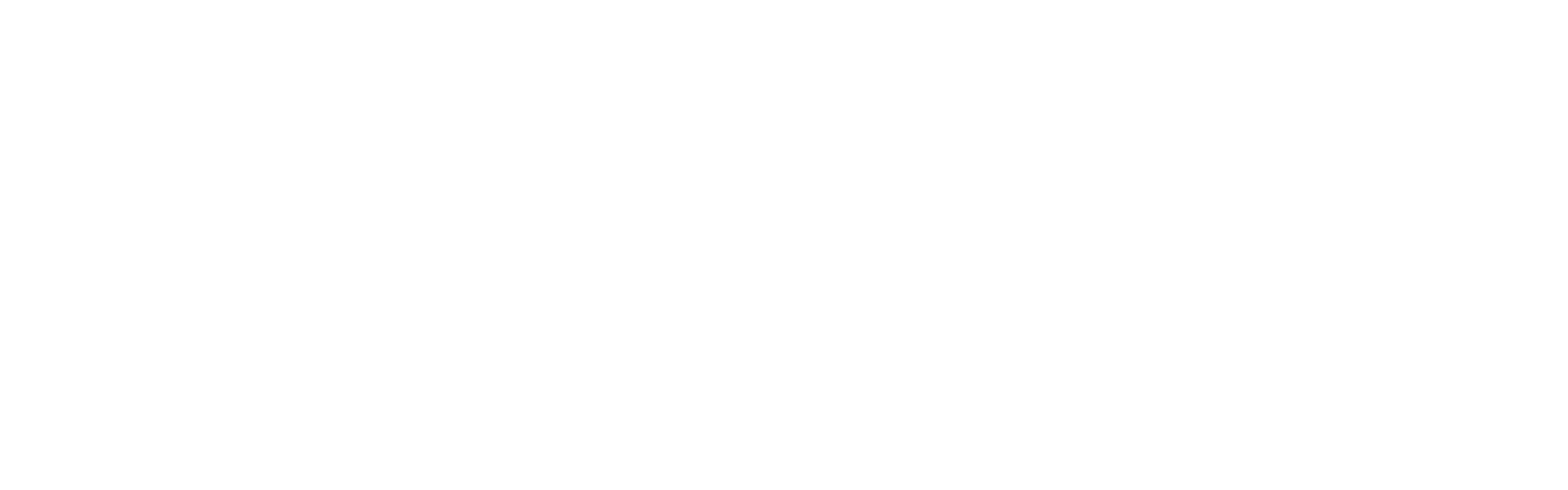 phpList logo in white
